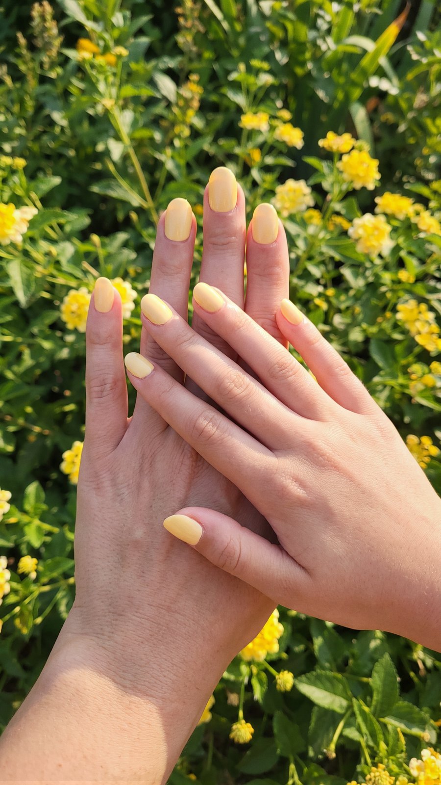 An adult hand and a smaller hand side by side in a garden, each wearing nails from the same pack.