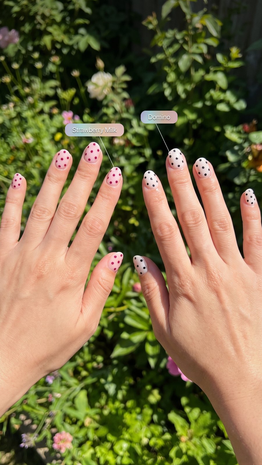 Two hands in a garden wearing two different dotted designs, labelled Strawberry Milk and Domino.