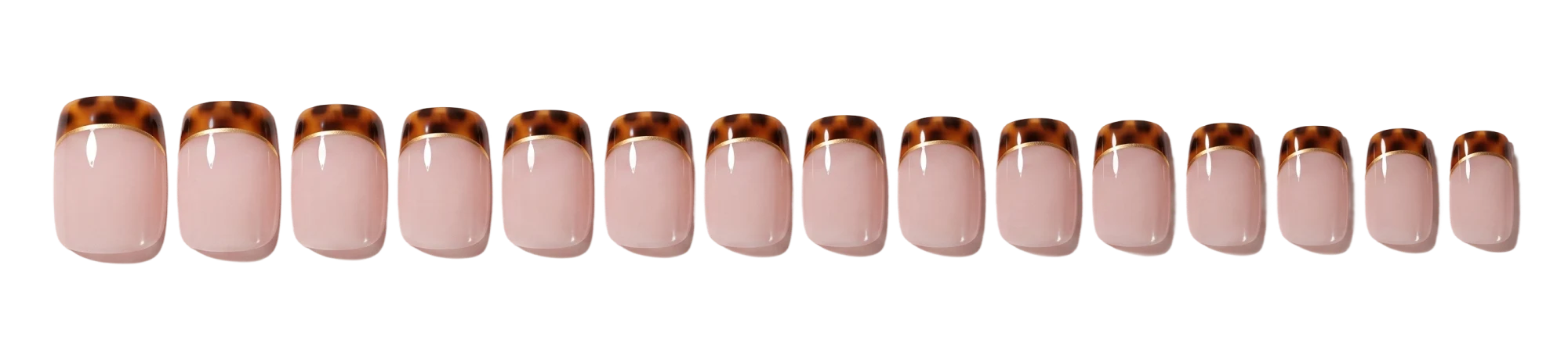 All 16 sizes in one row, largest to smallest